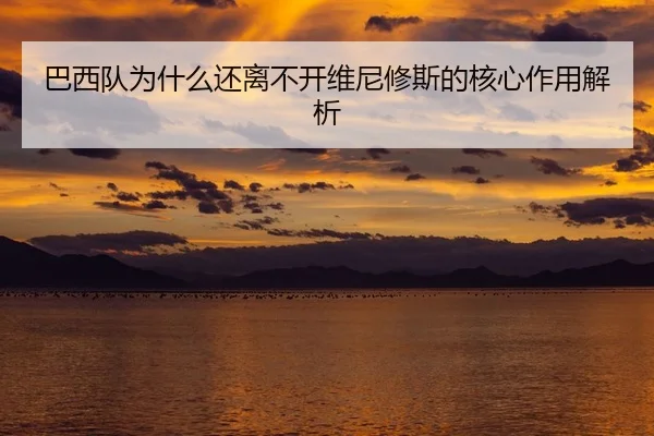 巴西队为什么还离不开维尼修斯的核心作用解析
